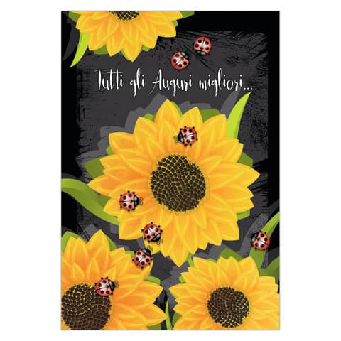 Biglietti augurali Biembi Compleanno 12x18 cm conf. 6 pezzi assortiti - coccinelle - BXBDKTC06